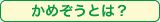 かめぞうとは？
